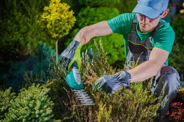 landscaping services Sinclairville